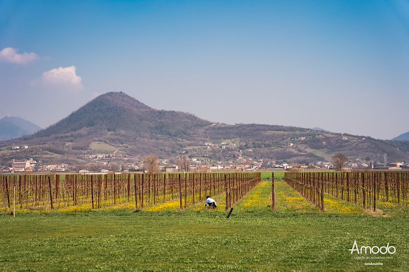 Dalla Prima Convention di Amodo
