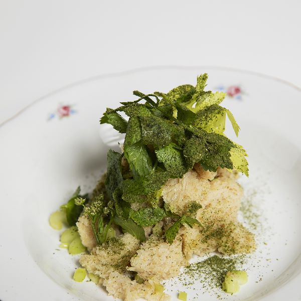 Signore te ne ringrazi