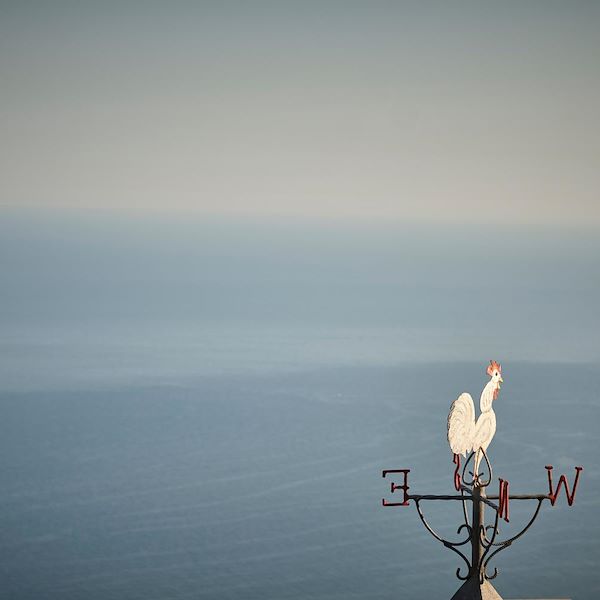 Hostaria Baccofurore