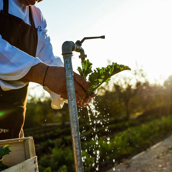 Antichi Sapori Montegrosso